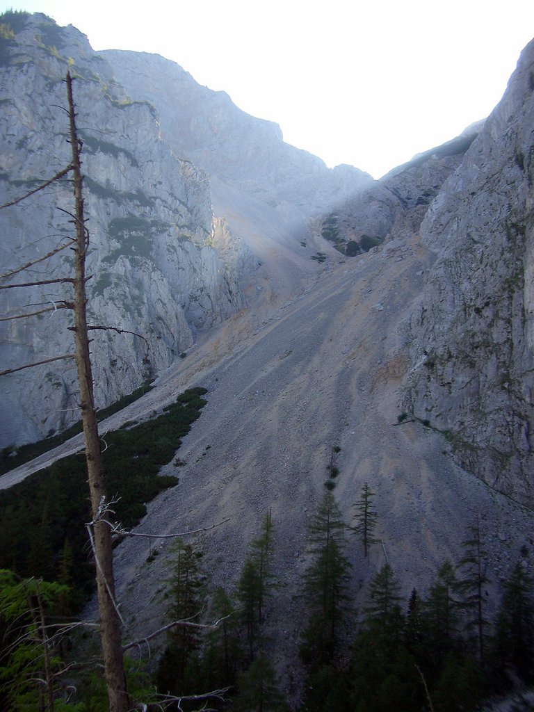CIMG6780.JPG