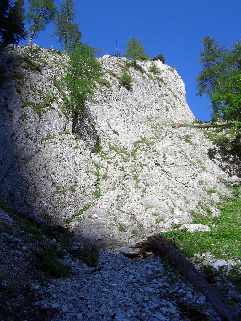 CIMG6781.JPG