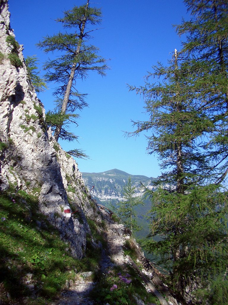 CIMG6786.JPG