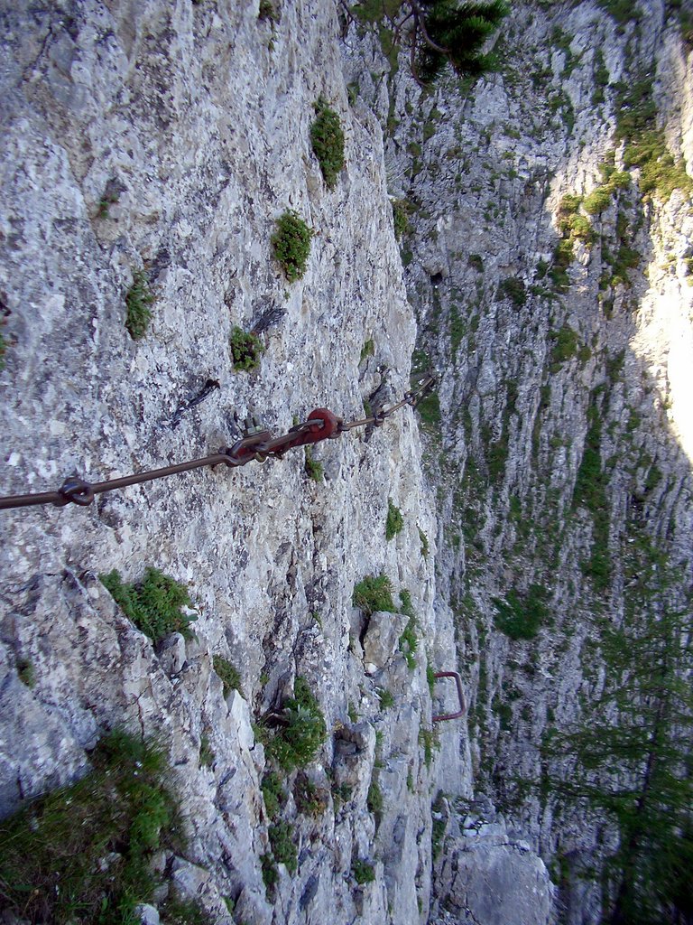 CIMG6787.JPG