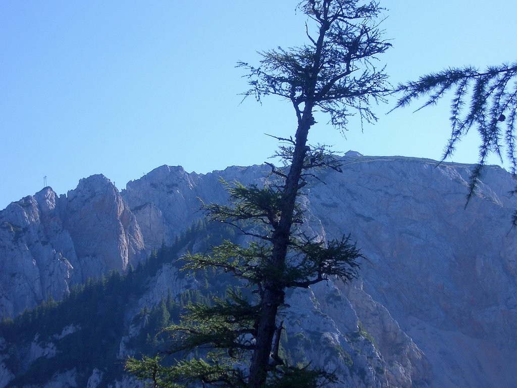 CIMG6792.JPG