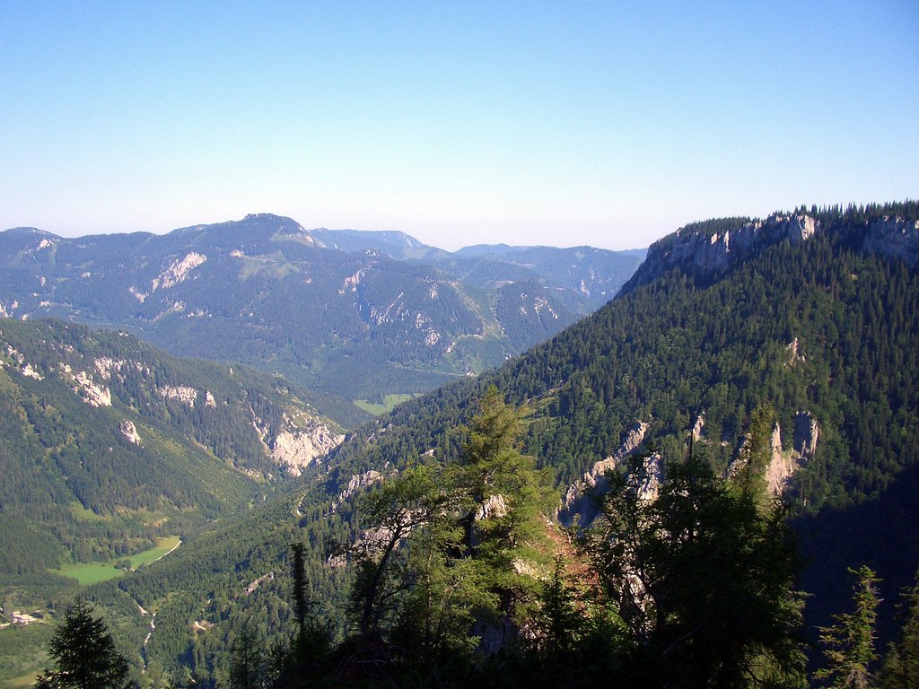 CIMG6800.JPG