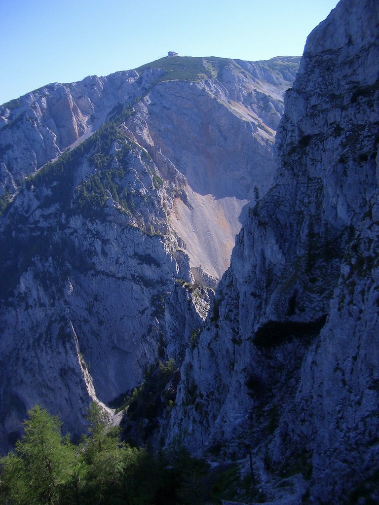 CIMG6803.JPG