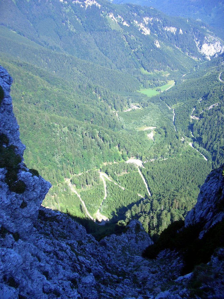 CIMG6807.JPG