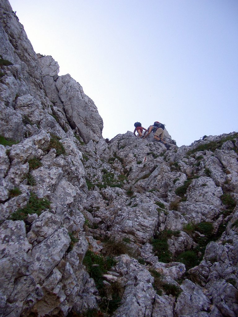 CIMG6808.JPG
