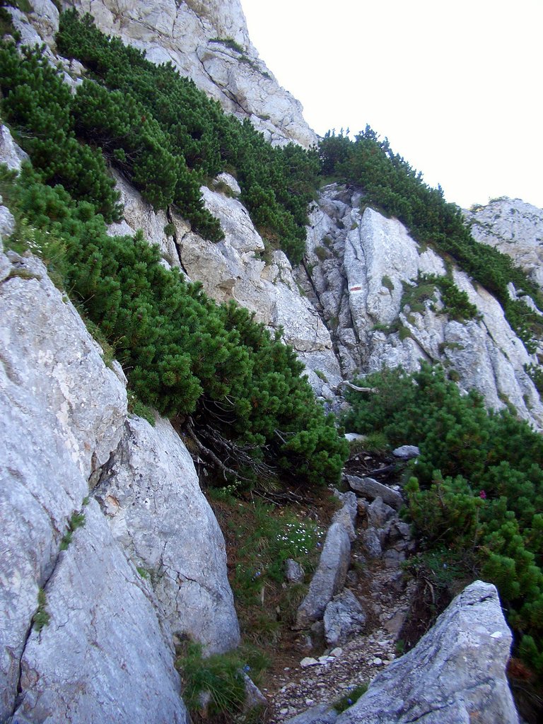 CIMG6809.JPG