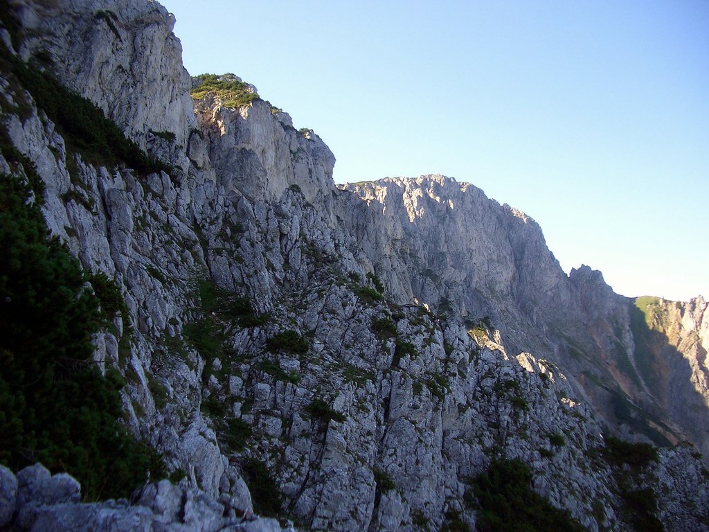 CIMG6810.JPG
