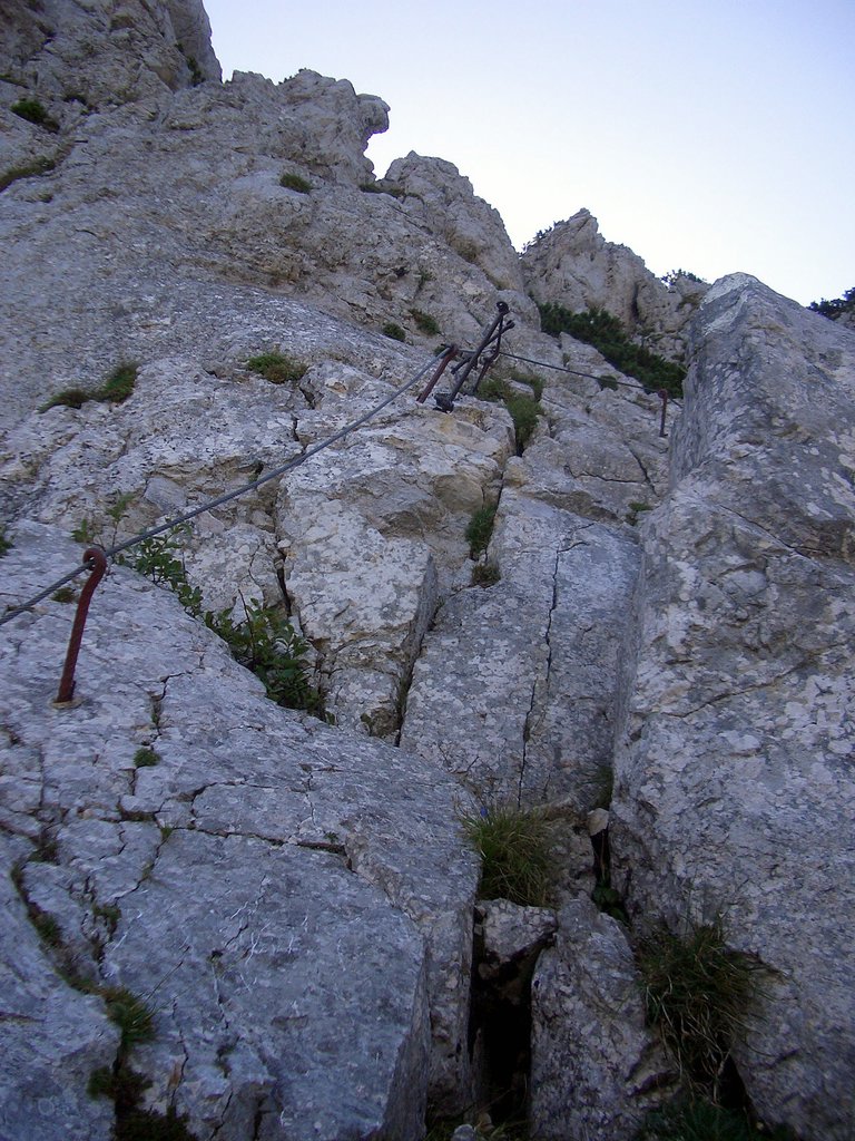CIMG6811.JPG