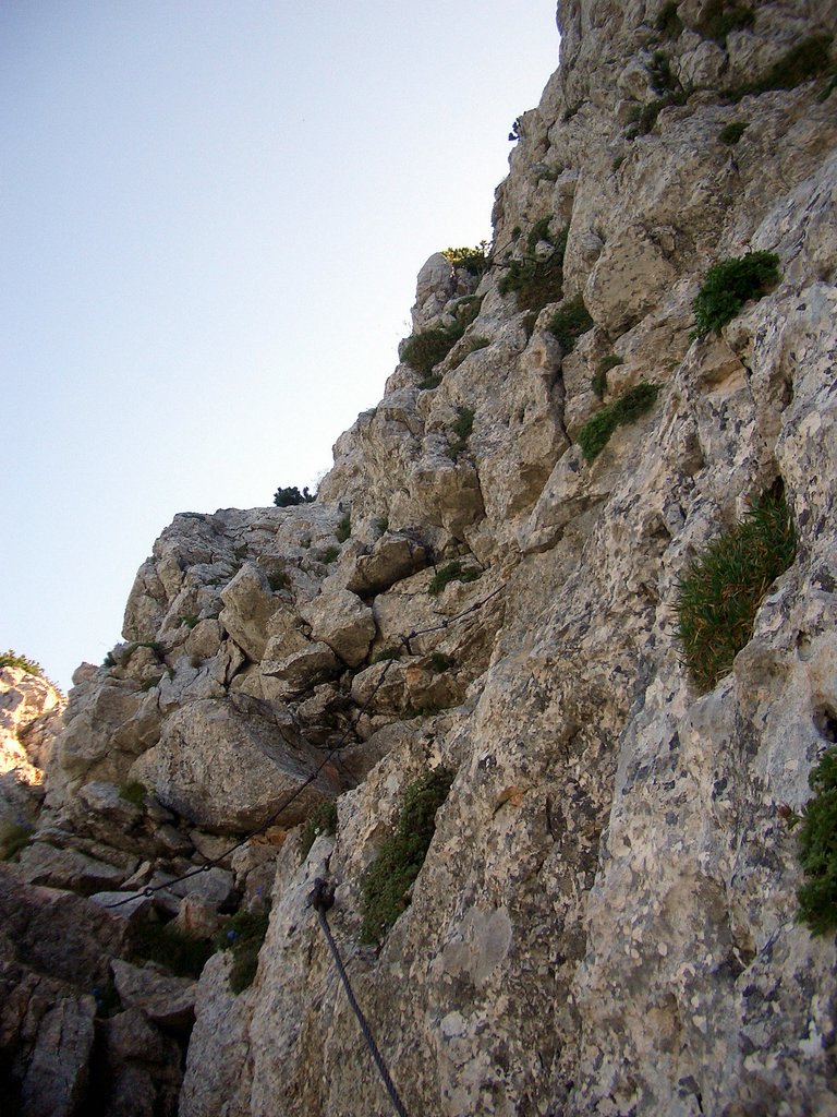 CIMG6812.JPG