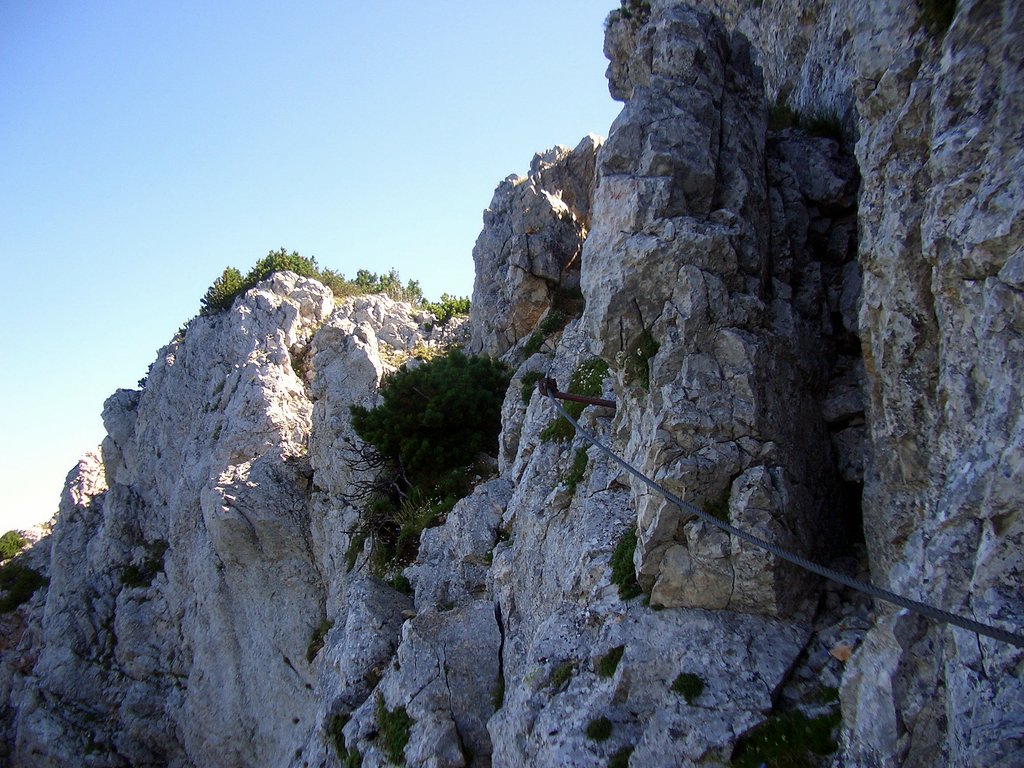 CIMG6813.JPG