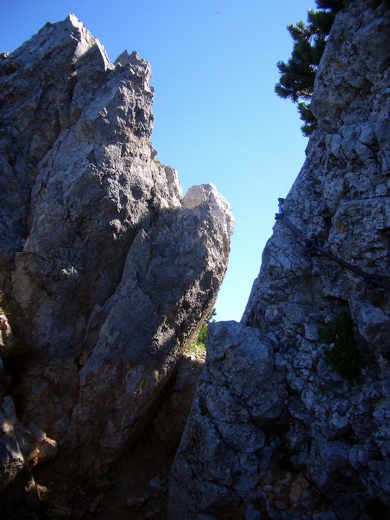 CIMG6815.JPG