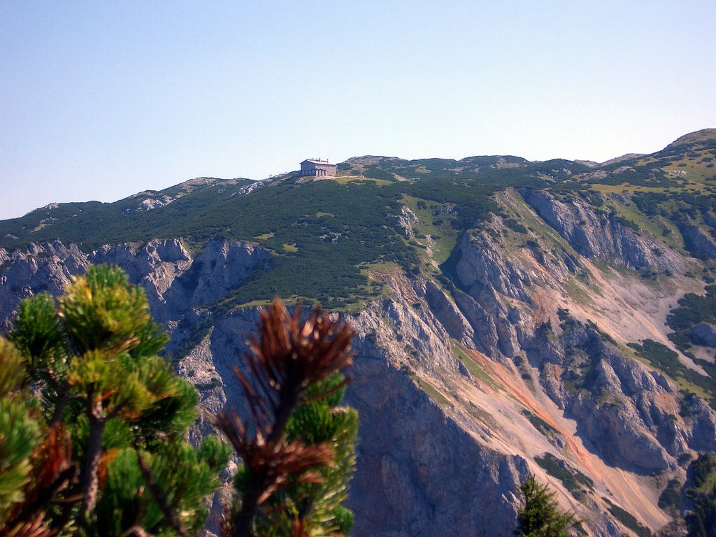CIMG6819.JPG