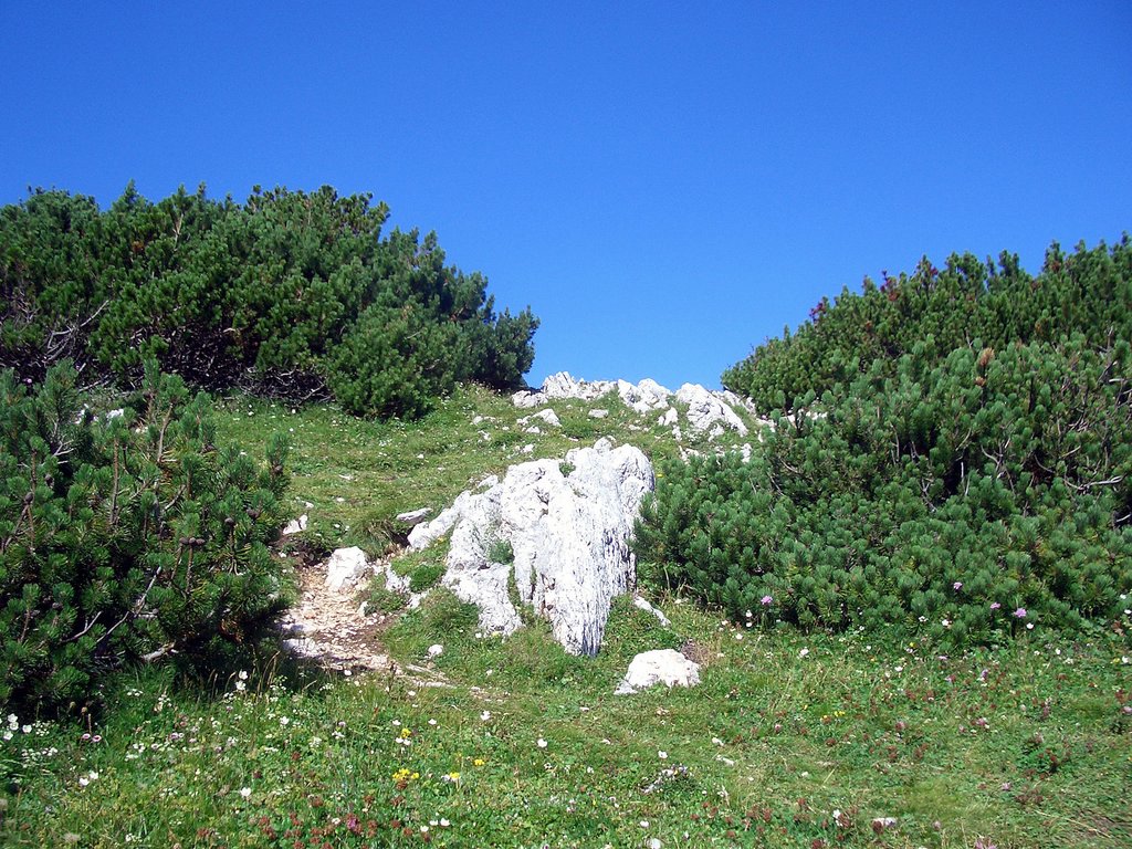 CIMG6821.JPG