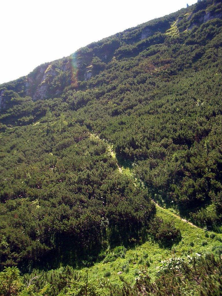 CIMG6822.JPG