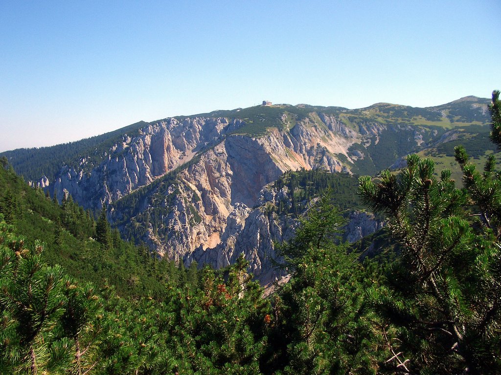 CIMG6823.JPG