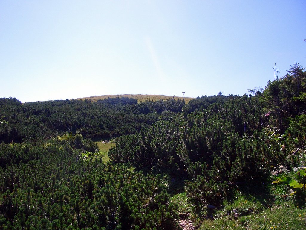 CIMG6824.JPG