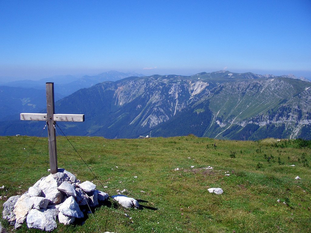 CIMG6830.JPG