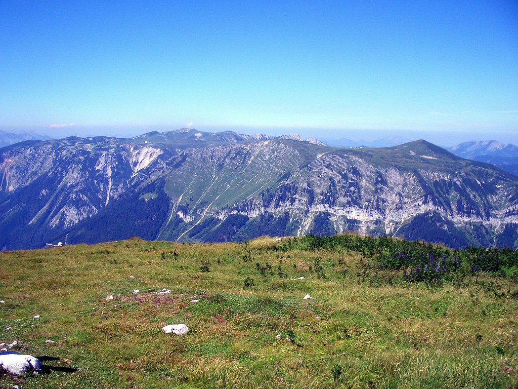 CIMG6831.JPG