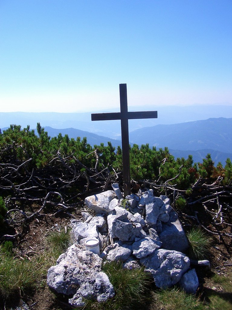 CIMG6835.JPG