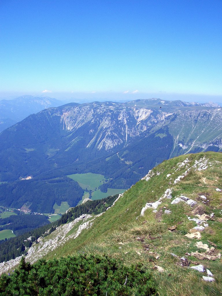 CIMG6836.JPG