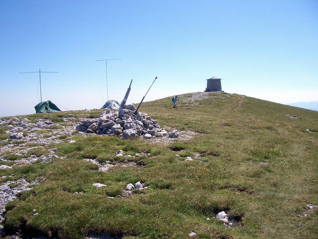 CIMG6838.JPG