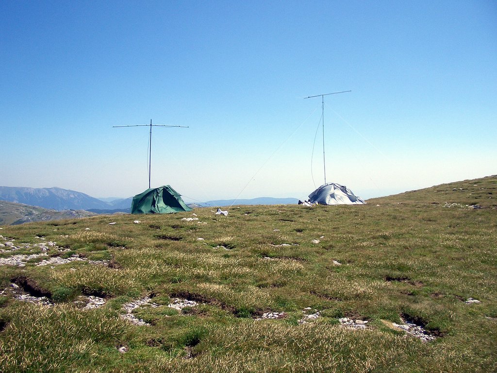CIMG6839.JPG
