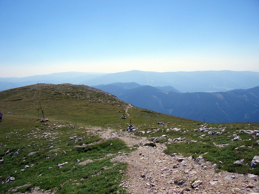 CIMG6847.JPG