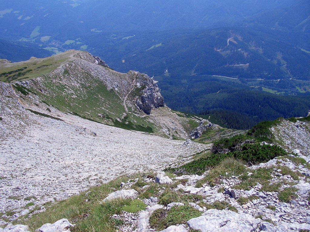 CIMG6860.JPG