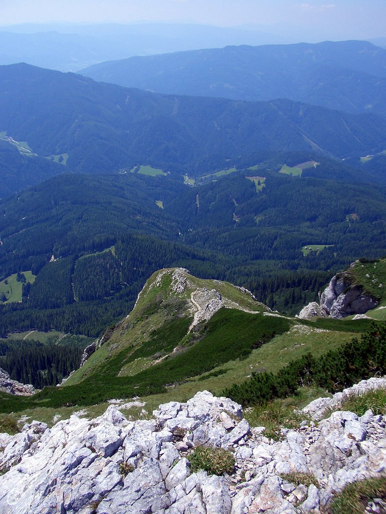 CIMG6861.JPG