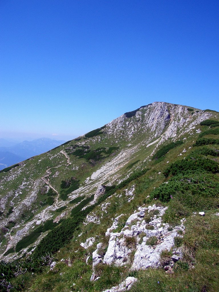 CIMG6862.JPG