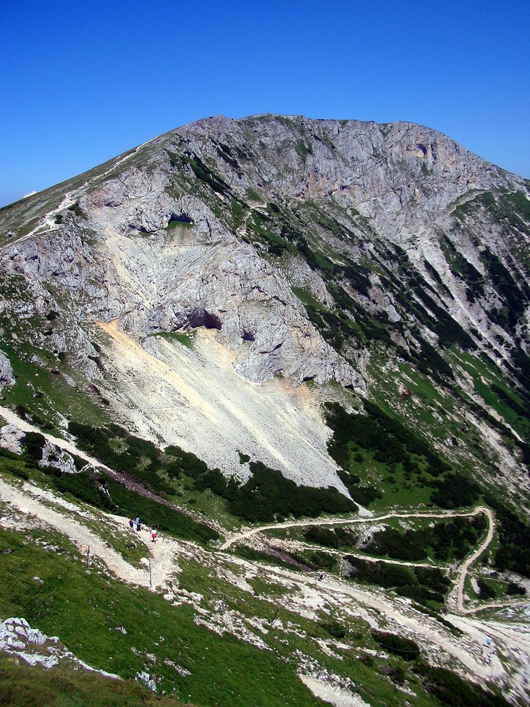CIMG6877.JPG