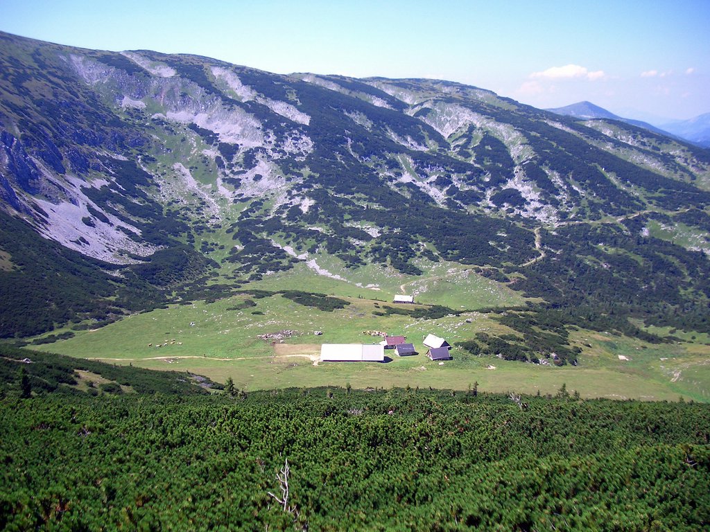 CIMG6885.JPG