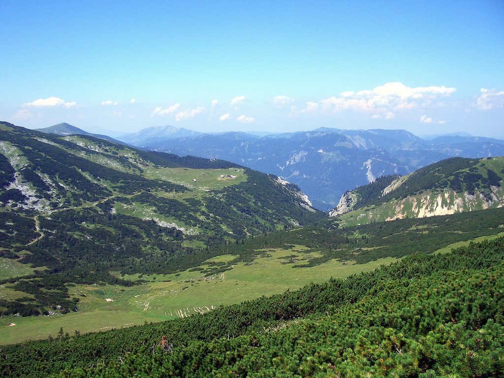 CIMG6886.JPG