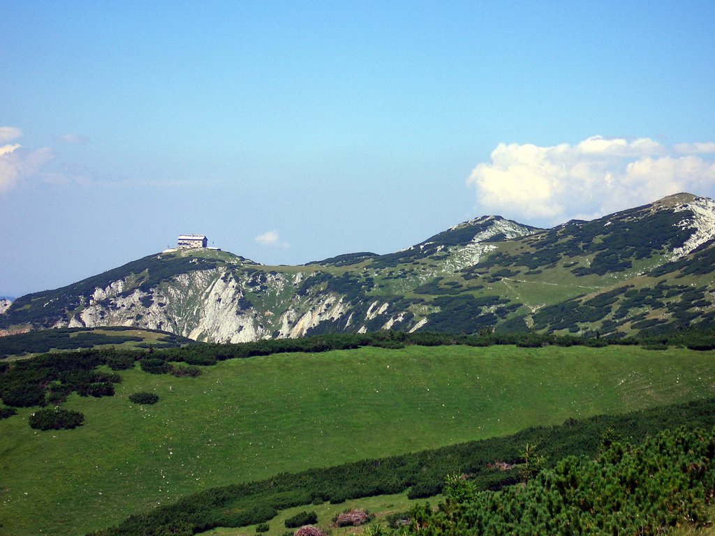 CIMG6887.JPG
