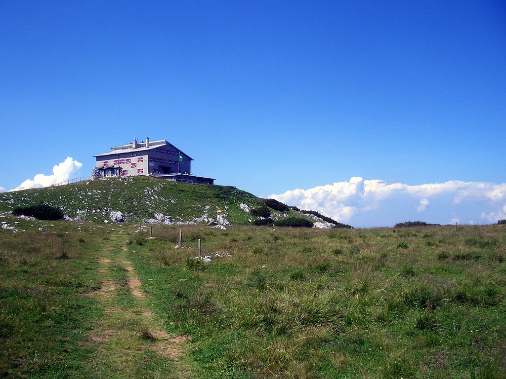 CIMG6896.JPG