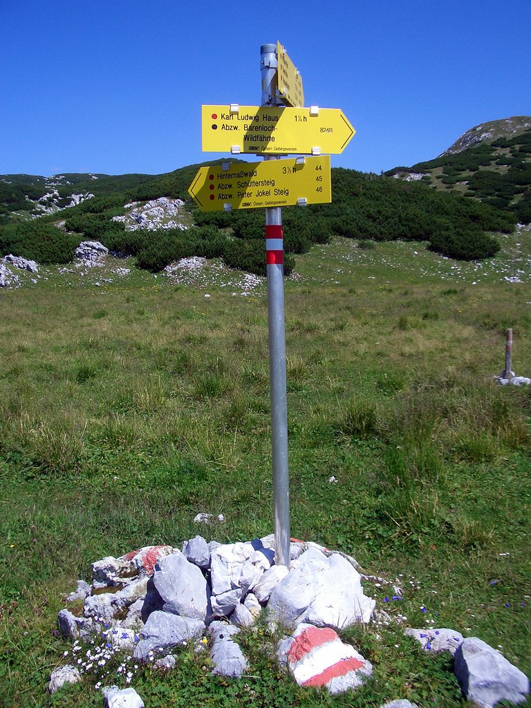 CIMG6902.JPG