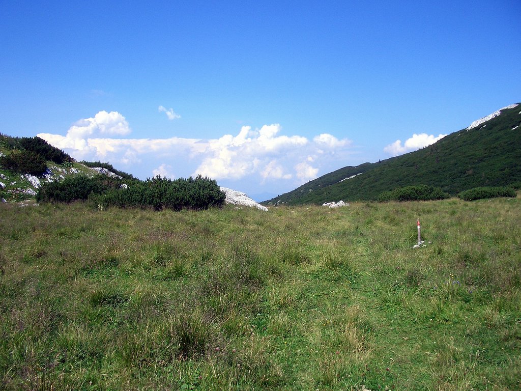 CIMG6903.JPG