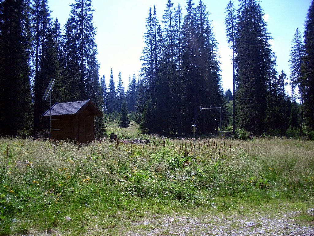 CIMG6909.JPG