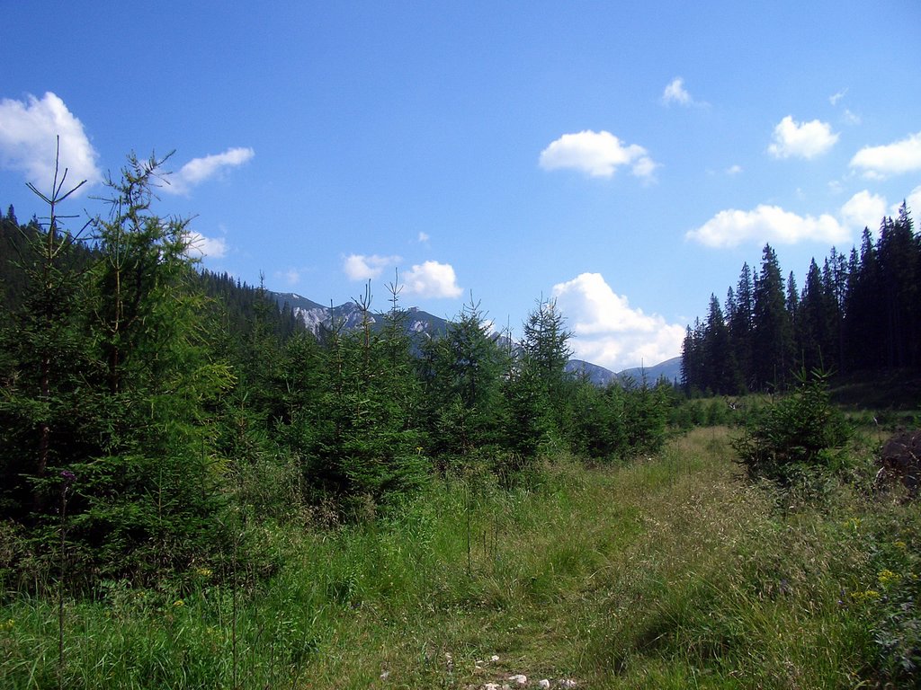 CIMG6914.JPG