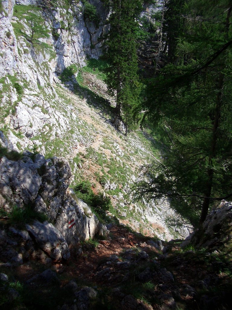 CIMG6924.JPG