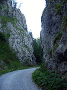 CIMG6756.JPG