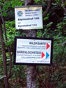 CIMG6770.JPG