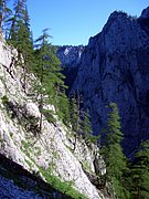 CIMG6782.JPG