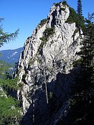 CIMG6785.JPG
