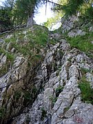 CIMG6791.JPG