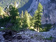 CIMG6799.JPG