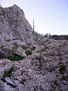 CIMG6801.JPG