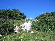 CIMG6821.JPG