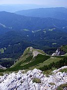 CIMG6861.JPG