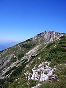 CIMG6862.JPG